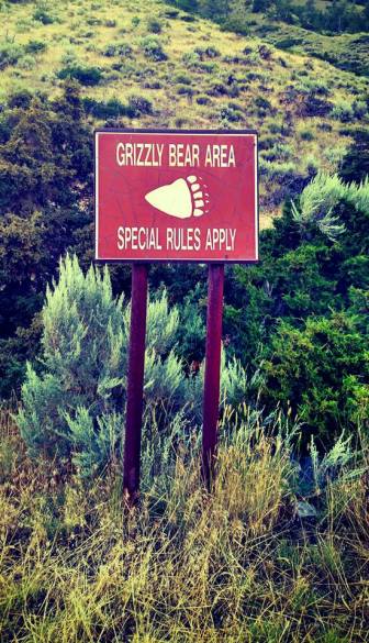 grizzly sign