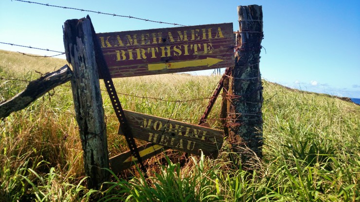 Fotor_151512443877197