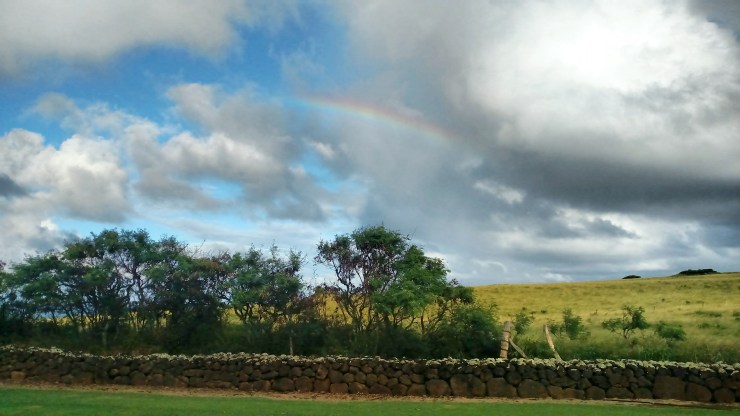 Fotor_151512483190946