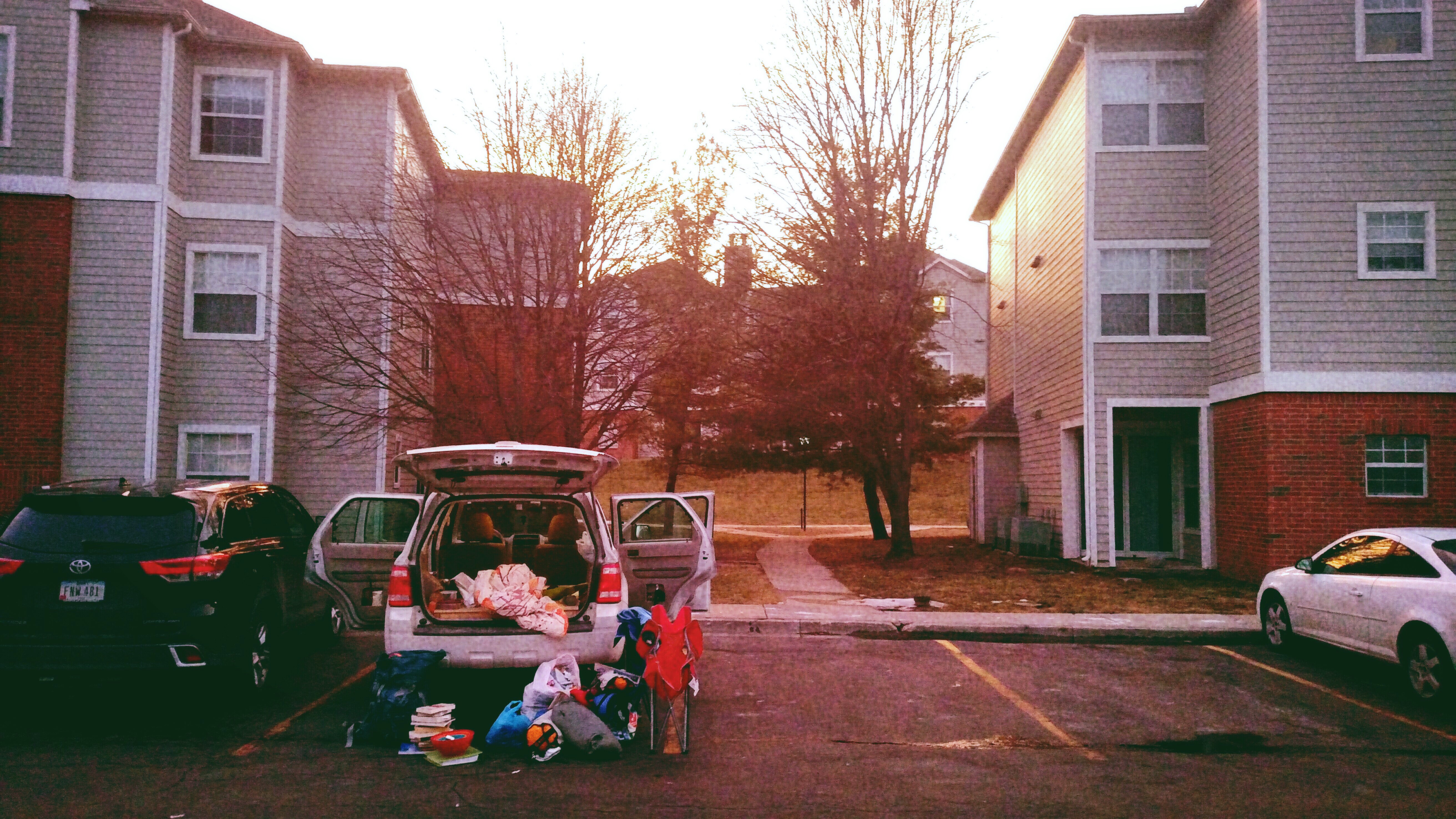 Fotor_15196722644902.jpg