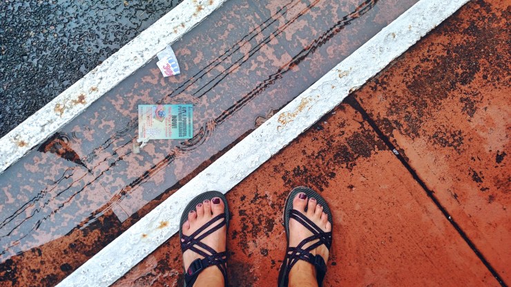 Fotor_153833345611445