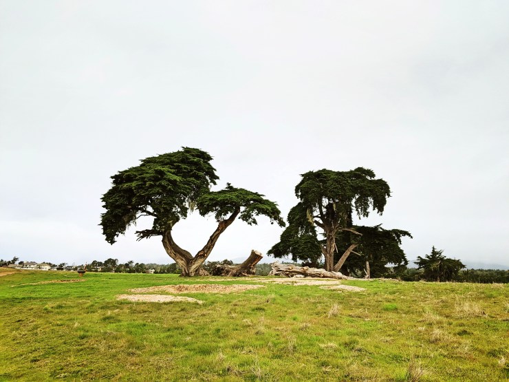 Fotor_157921966129939