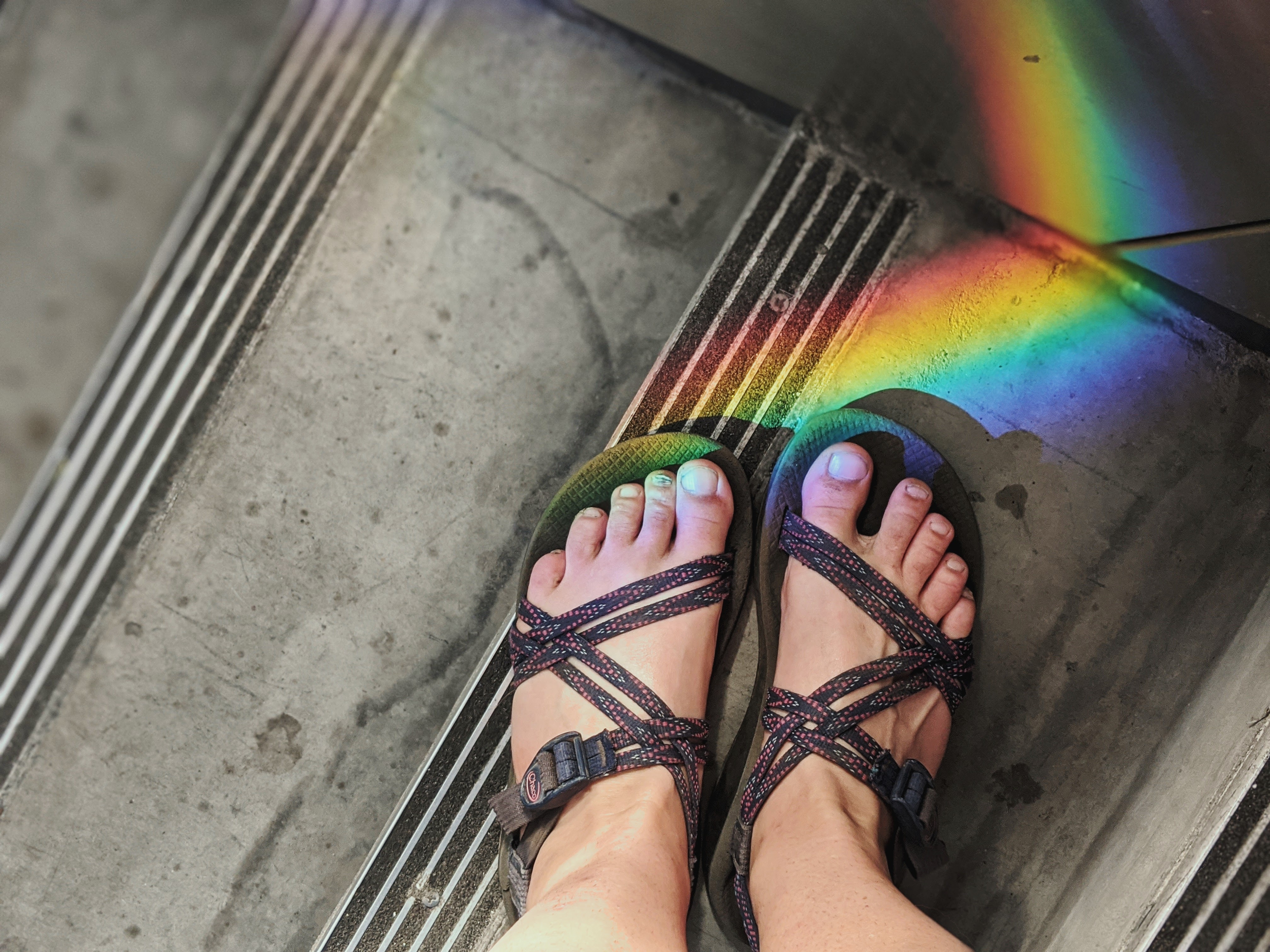 Fotor_159837362256161